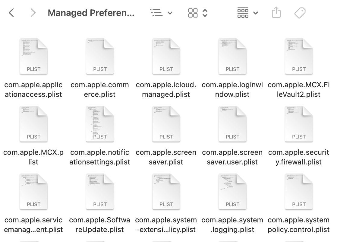 Remove the Managed by Your Organization error from mac manually, step 2