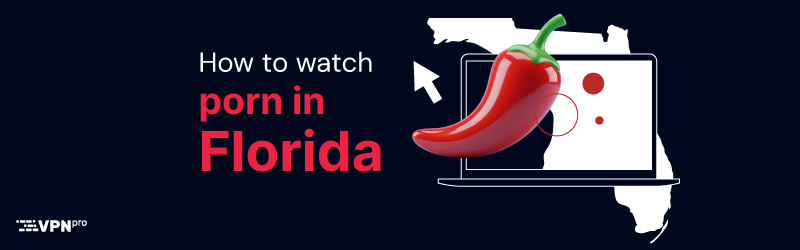 How to watch porn in Florida US