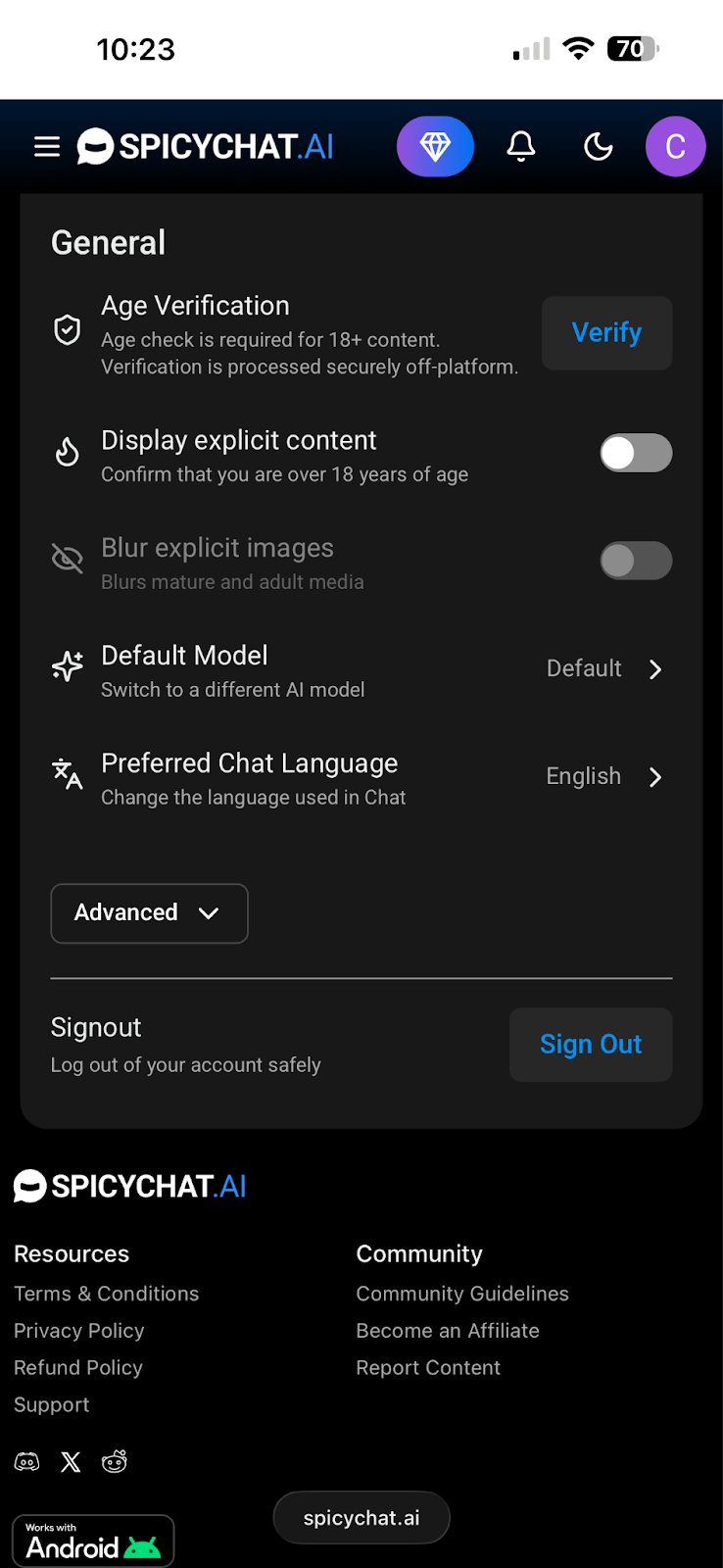 Spicychat AI profile settings and adult content filter