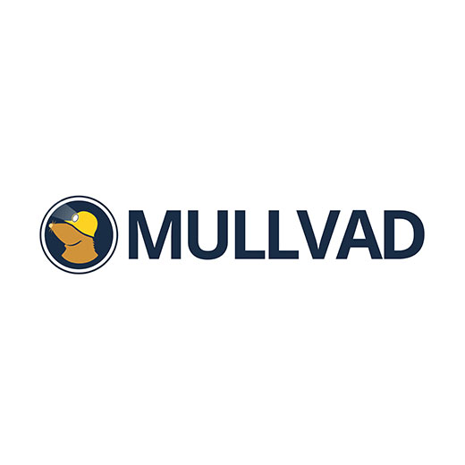 Test de mullvad logo
