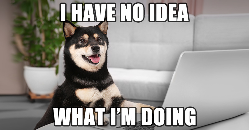 Dog Have no idea that he is doing