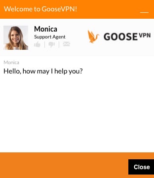 GooseVPN service client