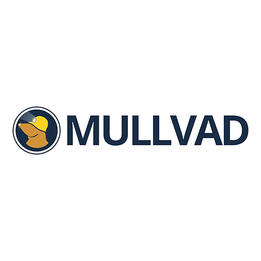 Mullvad VPN review logo