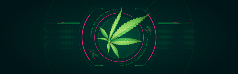 technology and cannabis