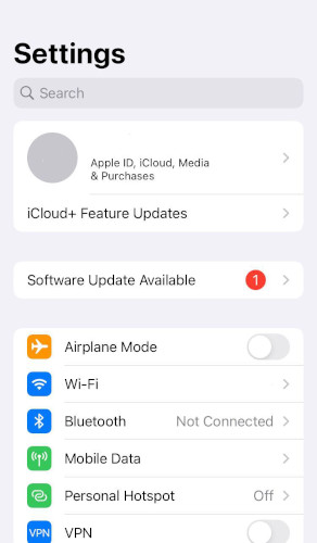 iOS manual VPN step 1
