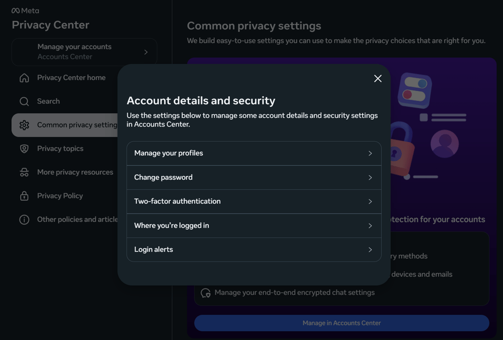 Meta account details