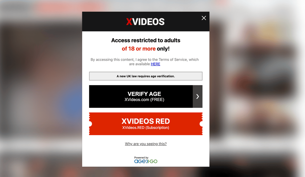 xVideos UK age verification prompt