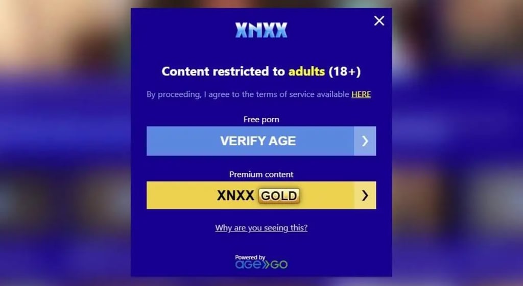 XNXX age verification prompt in the UK