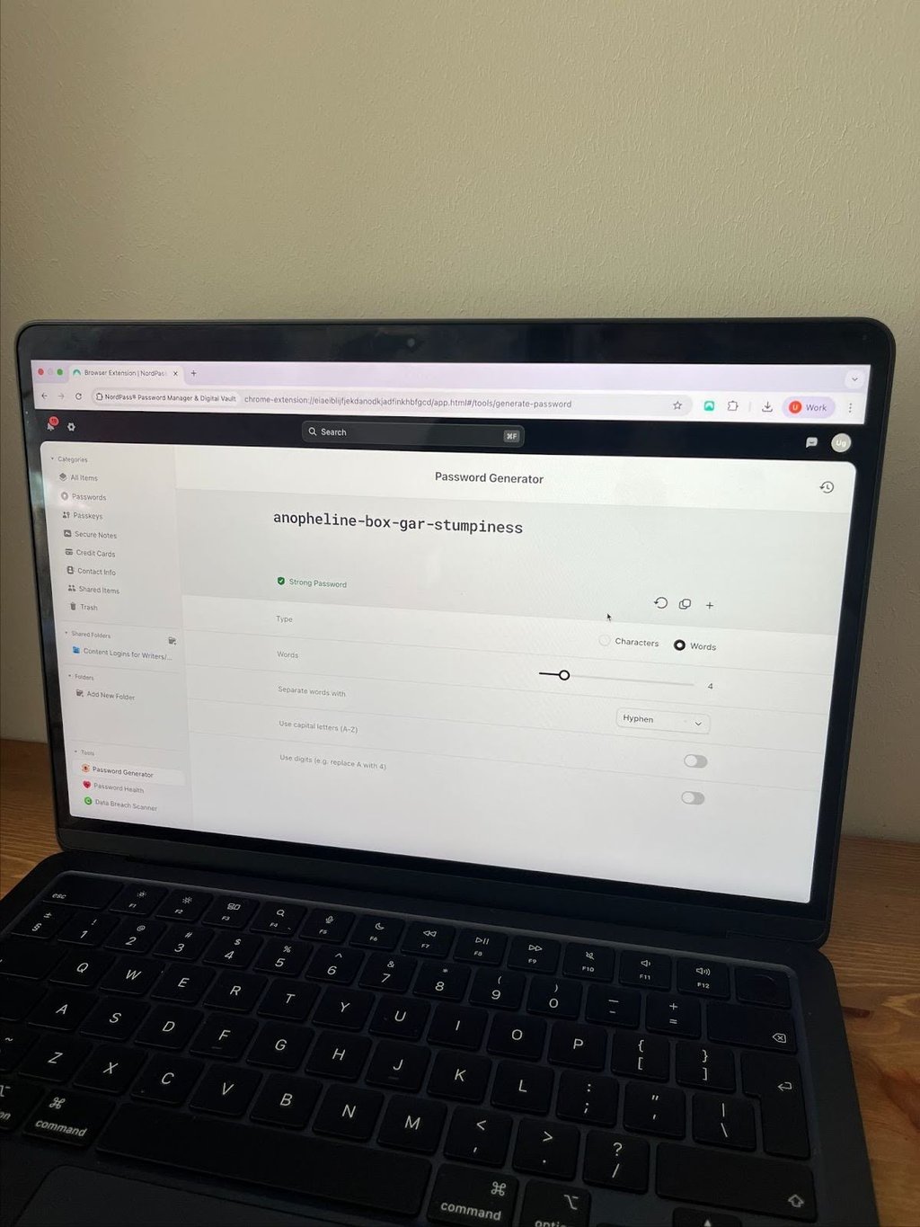 NordPass interface desktop view