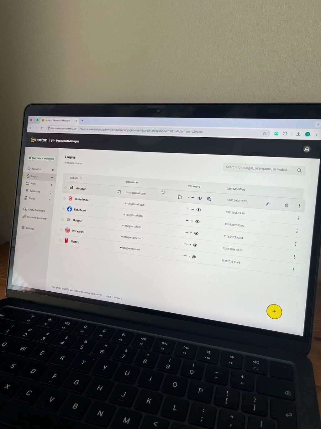 Norton Password Manager interface desktop view