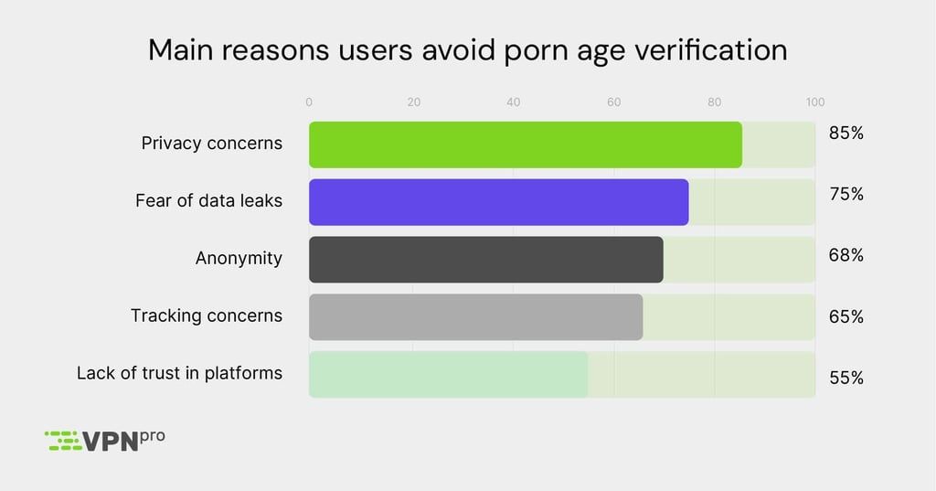 The main reasons users avoid porn age verification