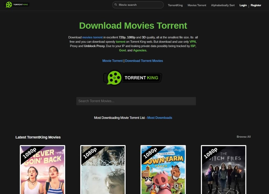 TorrentKing review