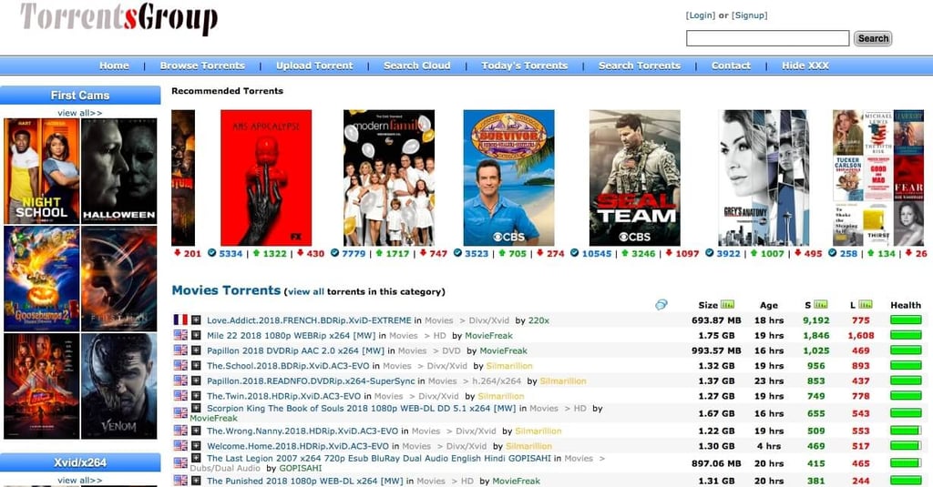 TorrentsGroup revue du site de torrents