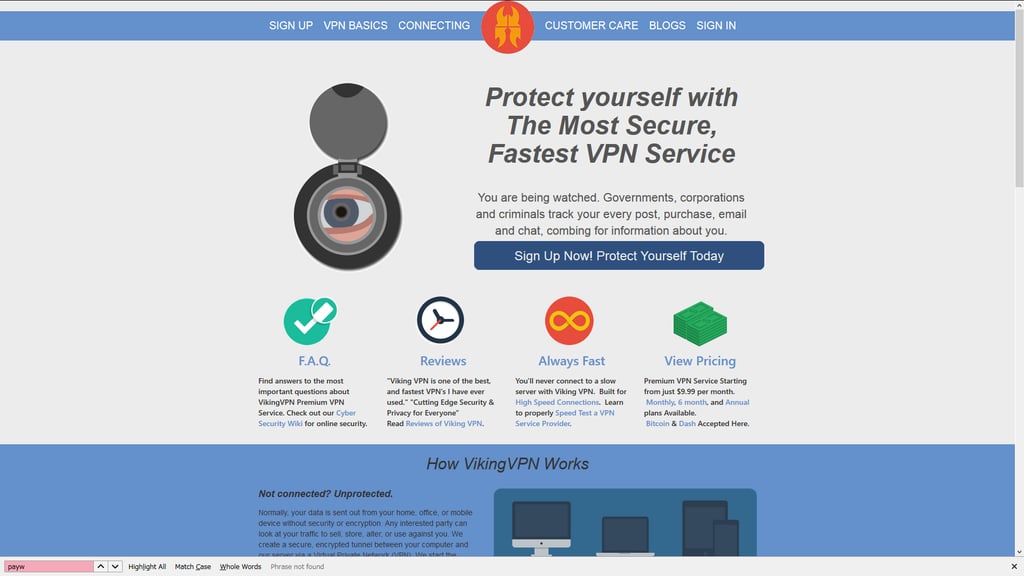 VikingVPN website homepage