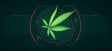 technology and cannabis