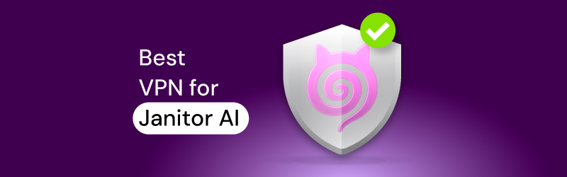 Best VPN for Janitor IP