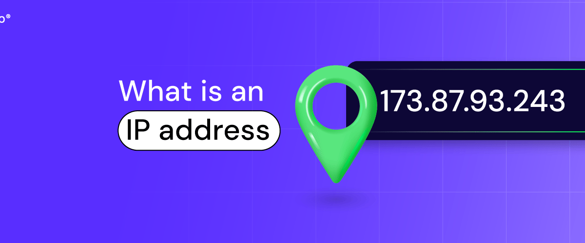 What is an IP address?