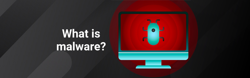 What is malware