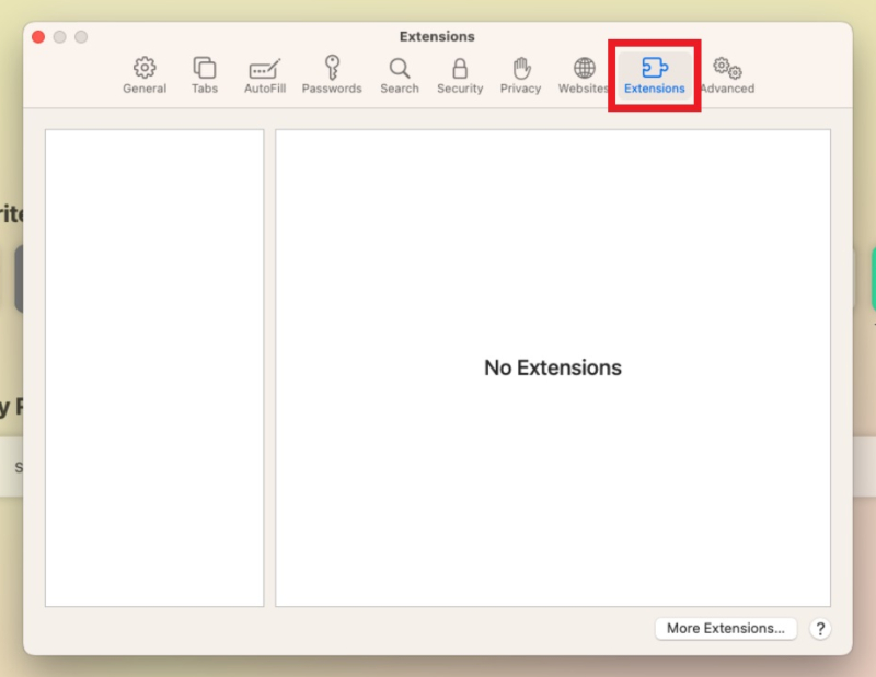 Safari Extensions settings
