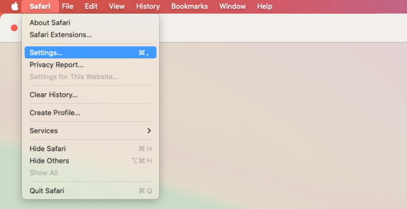 Mac Safari settings